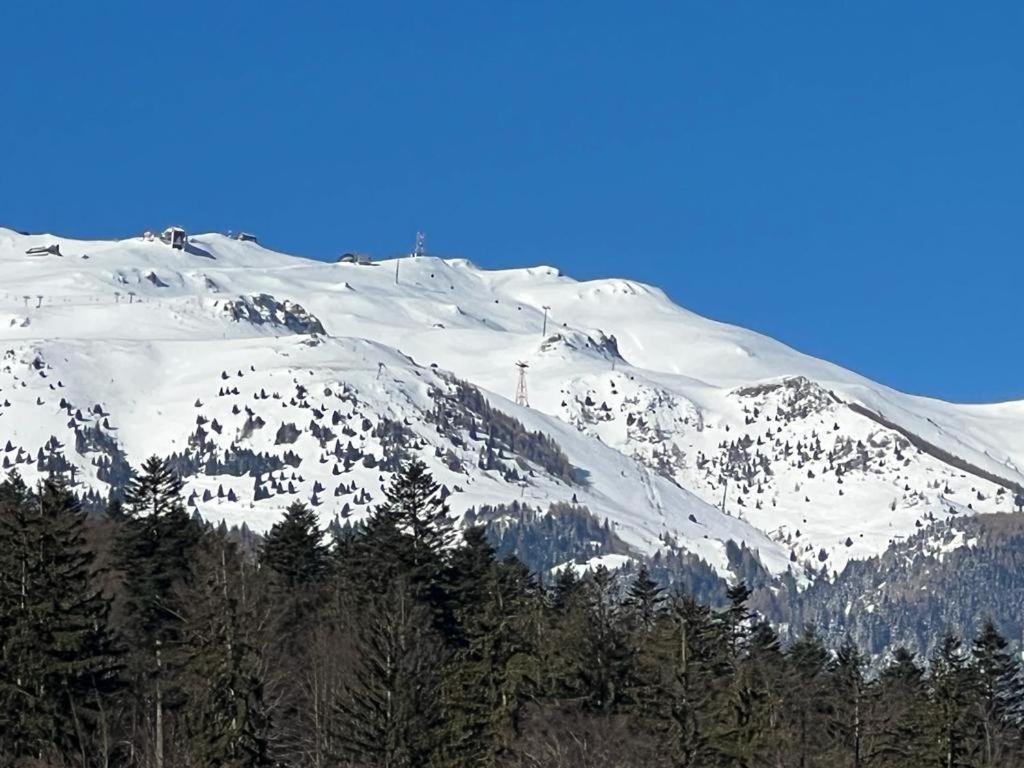 Coca Apart Mountain View Sinaia Exterior foto