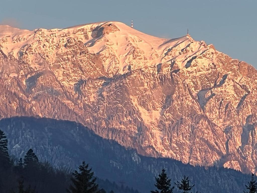 Coca Apart Mountain View Sinaia Exterior foto