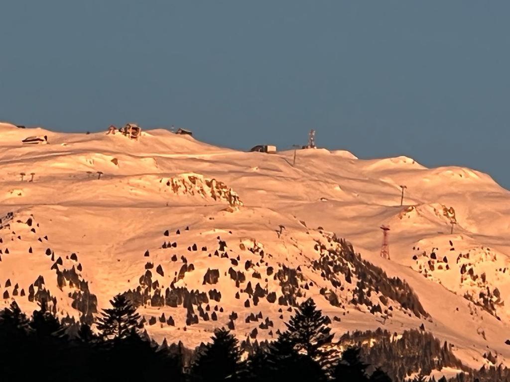 Coca Apart Mountain View Sinaia Exterior foto