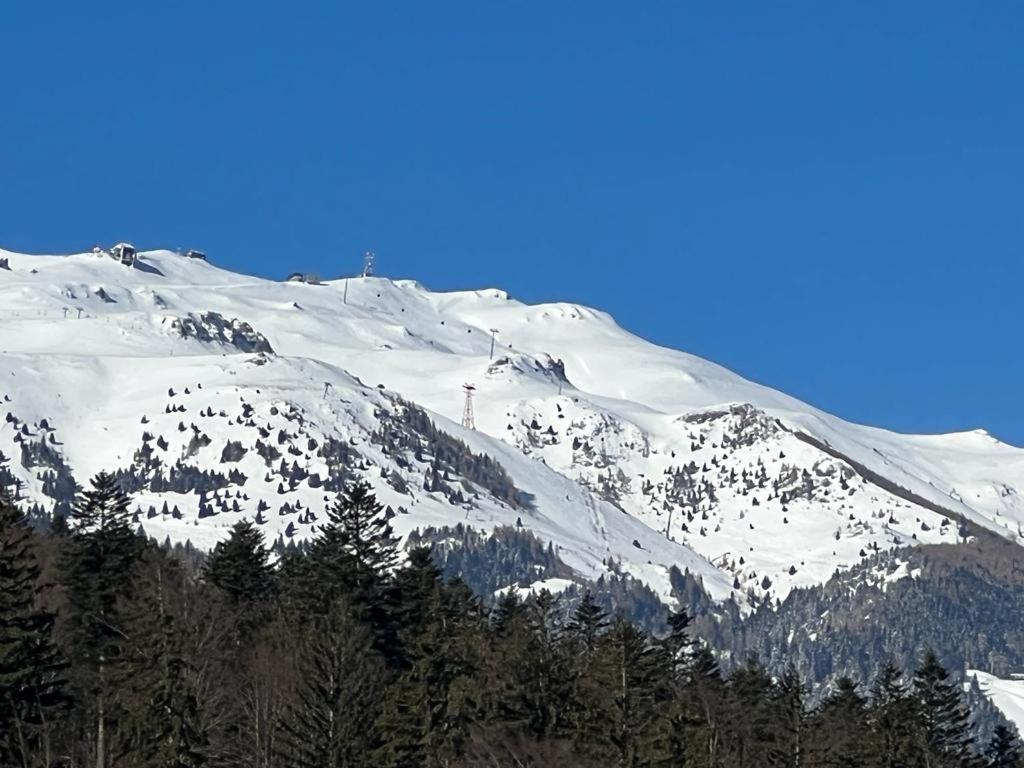 Coca Apart Mountain View Sinaia Exterior foto
